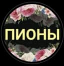 Канал Пион-Волгоград в MAX