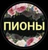 MAX-канал Пион-Волгоград