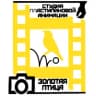 MAX-канал Кинотеатр «Смена» | Киров