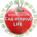 Канал Сад огород life в MAX