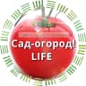 MAX-канал Сад огород life