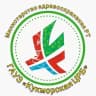 MAX-канал Кукморская ЦРБ