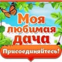 Канал Моя любимая дача в MAX