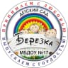 MAX-канал МБДОУ детский сад №17 "Березка"