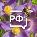 Канал Объясняем. Ленинградская область в MAX