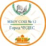 MAX-канал Город "ЧУДЕС" Школа №12 г.о. Балашиха