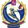 MAX-канал МБУДО СШ Виктория
