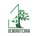 Канал Dendroterra в MAX