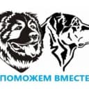 Канал Поможем вместе 39 в MAX