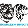 MAX-канал Поможем вместе 39
