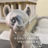 MAX-канал Мосгорнаследие