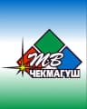 MAX-канал МАУ "ТВ-Чекмагуш"