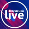 MAX-канал Пушкино Live