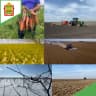 MAX-канал Минсельхоз Пензенской области