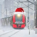 Канал Калининградская Ласточка в MAX