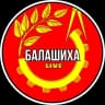 MAX-канал БАЛАШИХА.LIVE НОВОСТИ