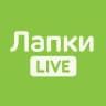 MAX-канал Лапки LIVE