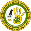 Канал Фонд помощи БЕЗДОМНЫМ животным ЧиЖ в MAX