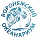 Канал Воронежский океанариум Сити-Парк "Град" в MAX