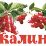 MAX-канал МАДОУ  "Калинка"