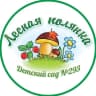MAX-канал МБДОУ д/с № 293 г. Новосибирск