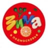 MAX-канал Фрязинская детская школа искусств имени М.И.Дунаевского