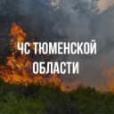 Канал Департамент гражданской защиты и пожарной безопасности Тюменской области в MAX