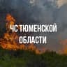 MAX-канал Департамент гражданской защиты и пожарной безопасности Тюменской области