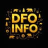 MAX-канал DFO.INFO