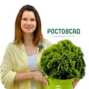 Канал Садовый центр РОСТОВСАД в MAX