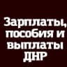 MAX-канал Зарплаты Выплаты и пособия ДНР — РФ
