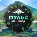 Канал Пульс Минеральных Вод в MAX