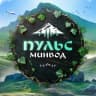 MAX-канал Пульс Минеральных Вод