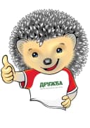 Канал МБ ДОЛ "Дружба" в MAX