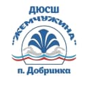 Канал МАУ ДО "ДЮСШ "Жемчужина" п.Добринка в MAX