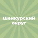 Канал Шенкурский муниципальный округ в MAX