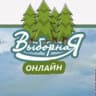 MAX-канал Выборная oнлайн (Новосибирск)