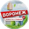 MAX-канал ВОРОНЕЖ НОВОСТИ О ГЛАВНОМ