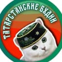 Канал Новости Татарстан | Казань | Бугульма | Чистополь | Арск в MAX