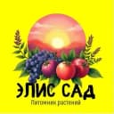 Канал Элис Сад Питомник растений в MAX