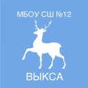 Канал МБОУ СШ № 12 г. Выкса в MAX