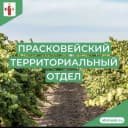 Канал Прасковейский ТО АБМО СК в MAX