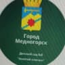 MAX-канал МБДОУ "Детский сад № 8 "Золотой ключик" г.Медногорска"