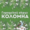 Канал Городской округ Коломна в MAX