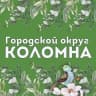 MAX-канал Городской округ Коломна