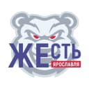Канал Жесть Ярославль в MAX