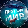MAX-канал Другой Мир