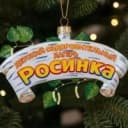 Канал МАУ ДОЛ "Росинка" в MAX
