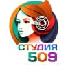 MAX-канал Студенческий телеканал РГЭУ (РИНХ) «Студия 509»
