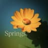 MAX-канал Клубный дом Springs